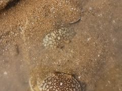 -青岛银沙滩