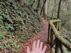 -龙苍沟森林公园