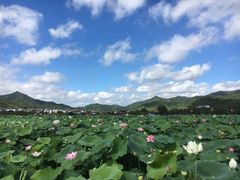 -古田会议纪念馆