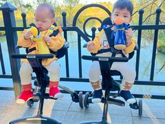 -合肥滨湖国家森林公园