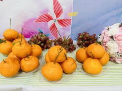 -井德幼儿园(新康花园店)