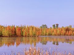 -白鹭湾湿地公园