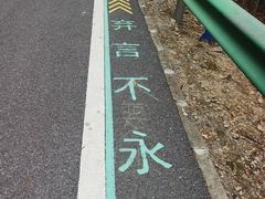 -佛山市三水区大南山森林公园