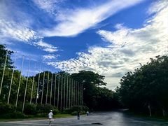 -深圳国际园林花卉博览园