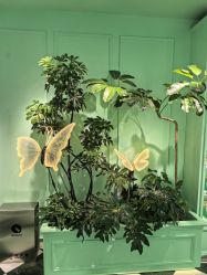 -青稚护手霜QINGZHI