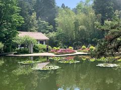 -庐山风景区花径公园