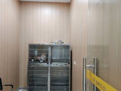 -米苏动物医院·犬猫专科·骨科外科内窥镜