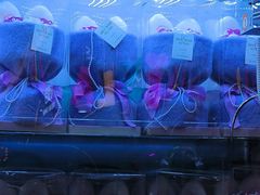 -爱玩嘉年华(江北一店)