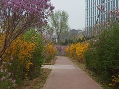 -元大都城垣遗址公园