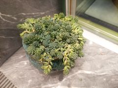 -雅克雅思(纱帽河店)