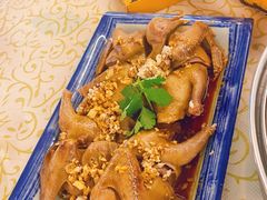-百利鸽王(紫薇路店)