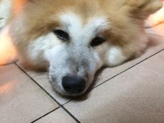 -欢乐盛KTV音乐会所(泰然店)