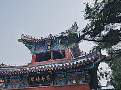-洛阳白马寺