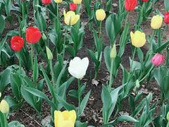 -鸿盛火锅(重庆路店)