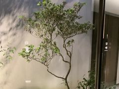 -花锦堂·隐庐
