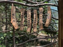 -天目湖山水园