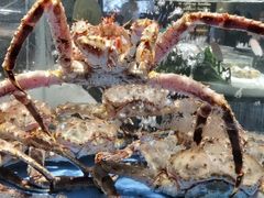 -徐记海鲜(南油永新汇店)