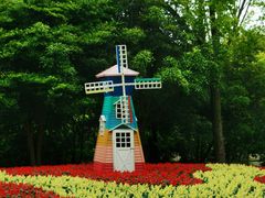 -上海共青森林公园