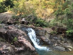 -广州白江湖森林公园