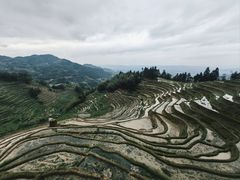 -紫鹊界梯田景区