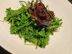 辣木苗炝拌鸡枞菌-醉东Oriental House(静安嘉里中心店)