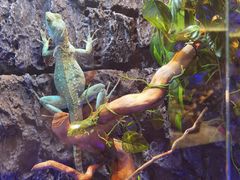 -荆州中山公园动物园