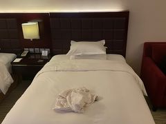 -上海浦东绿地铂骊酒店