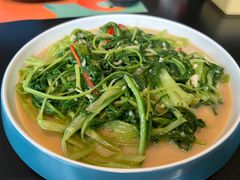 -羽鸽集·乳鸽专门店·地道顺德菜(岭南站店)