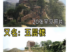 -华林禅寺