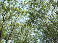 -元大都城垣遗址公园