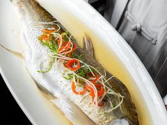 -荷塘秋月·本帮江浙菜(国权路店)