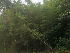 -千泷沟大瀑布旅游区