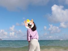 -三亚亚龙湾万豪度假酒店