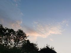 -玉树公园
