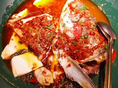 -黄晓猫剁椒大鱼头(海岸城店)