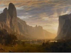 -Oasis Beauty水磨坊科技美肤中心