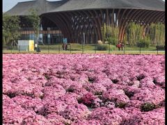 -中国天府农业博览园