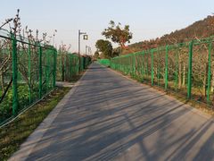 -树山生态村