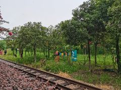 -武汉紫薇都市田园