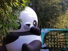 -杭州植物园