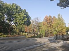 -尚贤河湿地