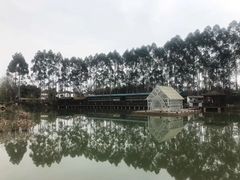 -三圣花乡旅游区