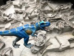 -自贡恐龙博物馆