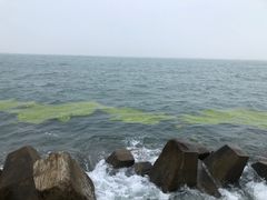 -青岛第二海水浴场