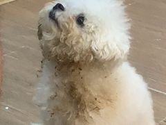 -伽利略剧本探案馆(国贸店)