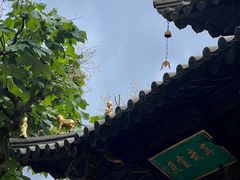 -昆明市金殿名胜区