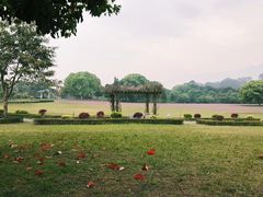 -福建鲤鱼洲酒店