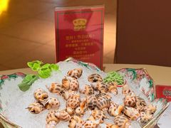 冰镇花螺-惠食佳(滨江大公馆店)