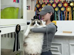 -青奢宠物·青奢猫舍