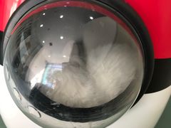 -佳怡动物医院·平价24小时·猫专科骨外科